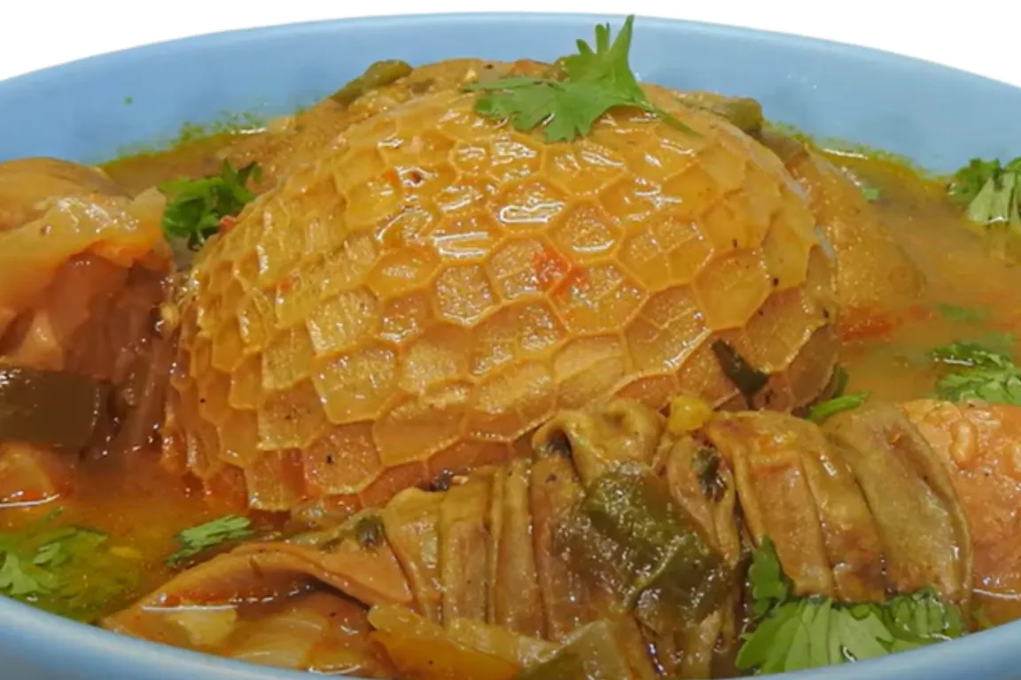 Receita de buchada de bode dica caseira, ingredientes e preparo