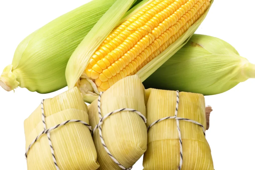 10 Comidas juninas do Nordeste que você precisa provar 2 Como fazer pamonha doce típica do nordeste