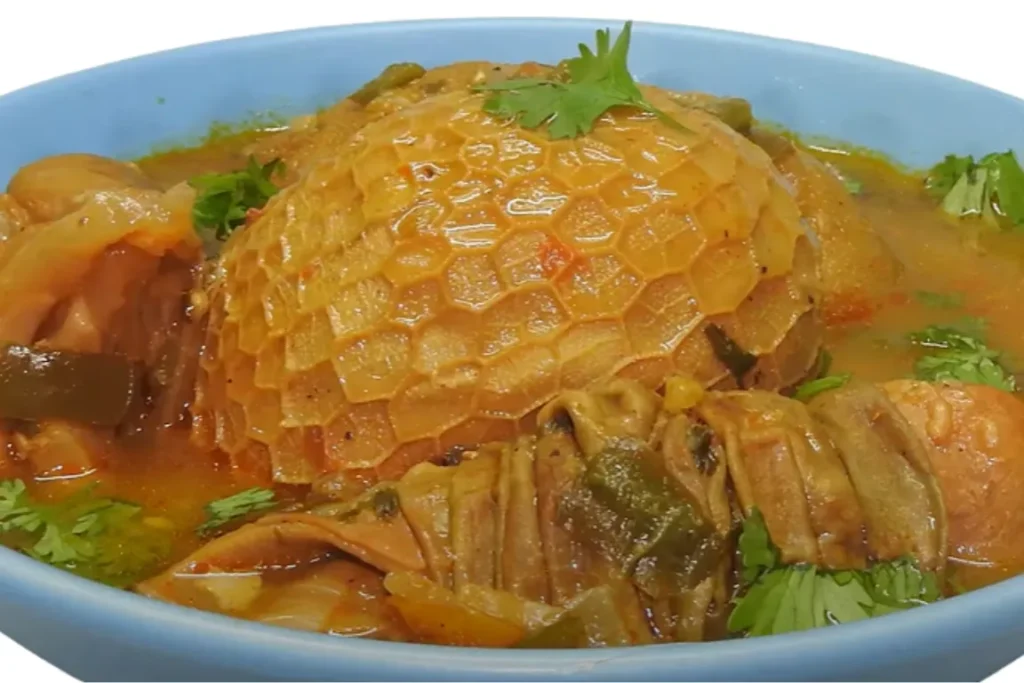 Receitas nordestinas buchada de bode a tradição sertaneja