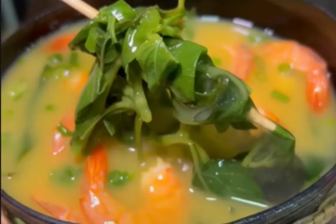 Culinária paraense 10 comidas típicas do pará para saborear