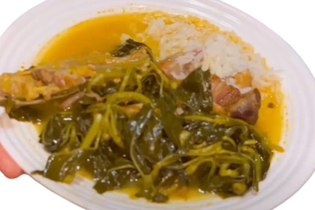 Culinária paraense: 10 comidas típicas do Pará para saborear 2 Pato no tucupi o prato que não pode faltar nas festas paraenses